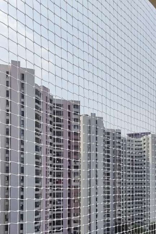 Pigeon Nets Fixing Price