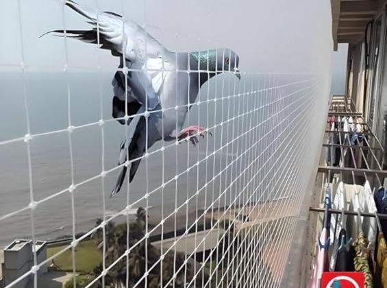 Pigeon Safety Nets for Balconies