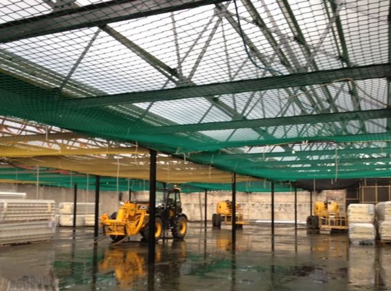 Pigeon Nets Installation Near Me